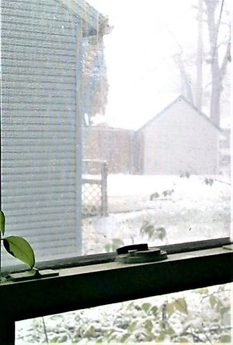 397802820_SnowDayNov12south.JPG.7a1221562dd8325129e1cd1aac2f7540.JPG
