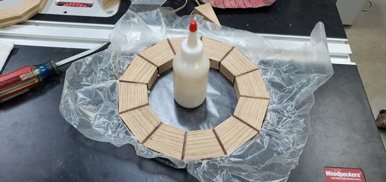 1197830767_gluebottle.jpg.59e49ef1284b1f19ec9d8ba3be897e70.jpg