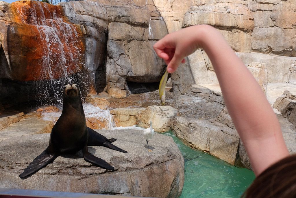 seaworld rocks.jpg