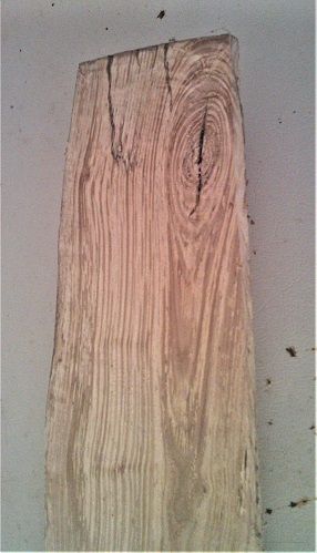 Boardlastsection.JPG.28eabcd0507ab9ca18f95594901f500c.JPG