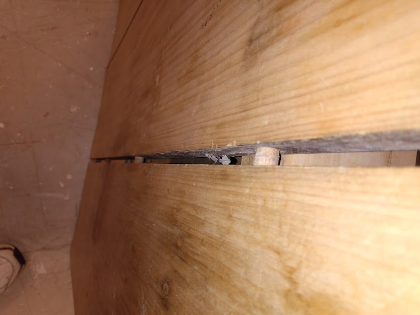 image.png.be62a191d30500f7c0942a602b186d00.png