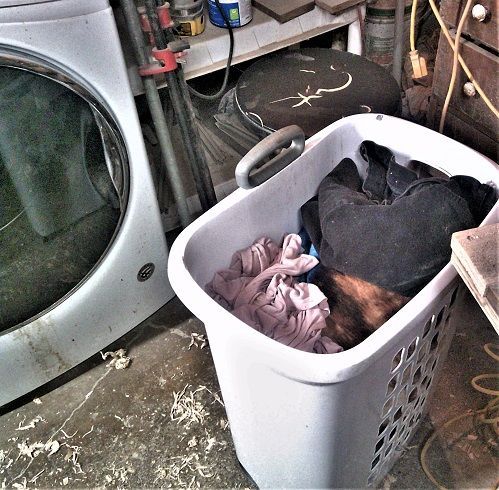 Box3StartLaundryDetail.JPG.f0ae10cd3fdf7b2a4cba63b39bf5a13a.JPG