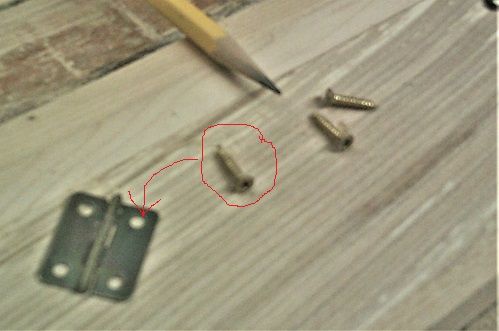 MondayPhotostinyscrews.JPG.1acd9117165d933bc130eb2478e42e49.JPG