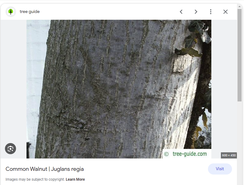image.png.d3dd417a1bf0cd2bdb2b5f7d5a239a60.png