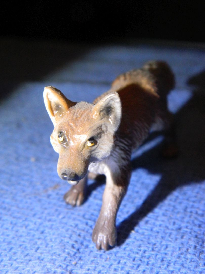 tinyfoxfun.jpg.6203592e3e1e94414a667e8d426ade8d.jpg