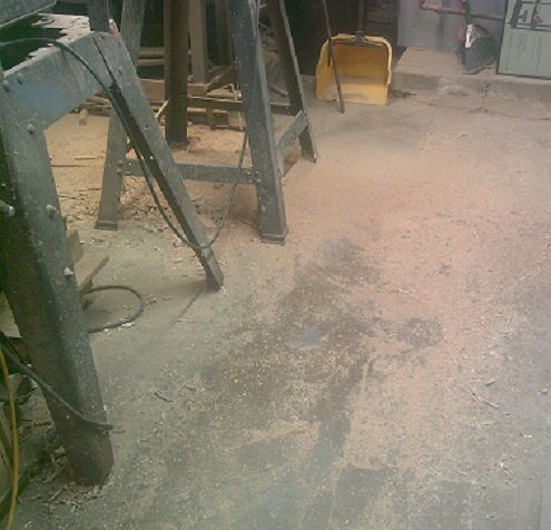 Nov_Pro.SundayBUSYday.JPG.c795cff0cffe118ec3caad56cd307218.JPG