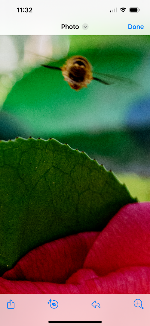 IMG_3612.png.68abaede067a778bfc448b37b9913cb1.png