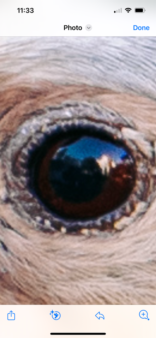 IMG_3613.png.13173abe31e7ef983a84ba376806fa0b.png