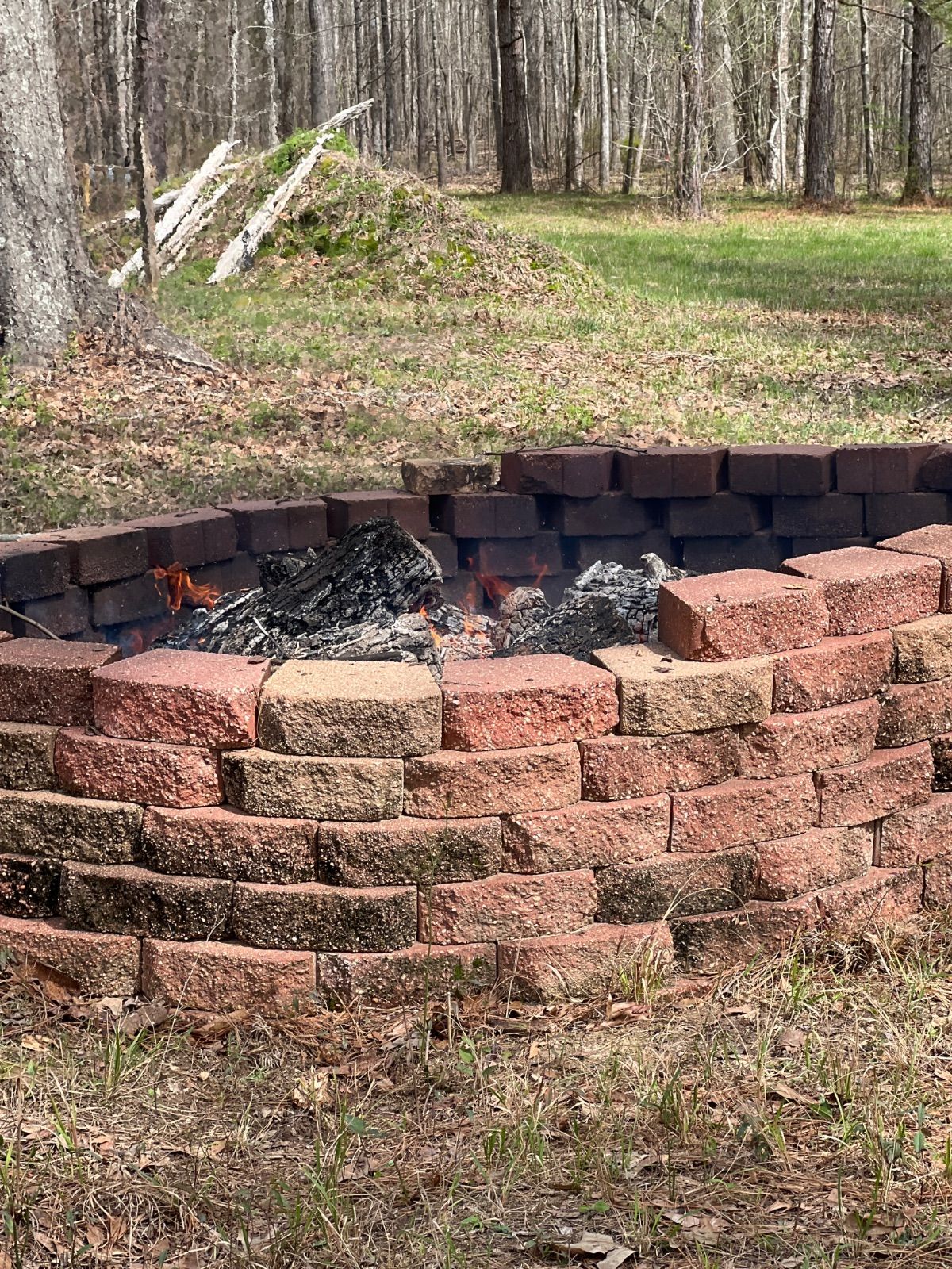 image.jpg.3273671e2de9f472d0da610546c795fb.jpg