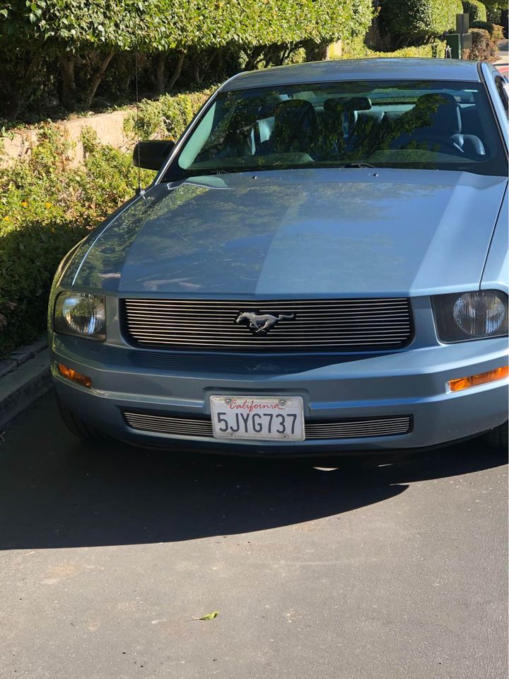 pony1.jpg