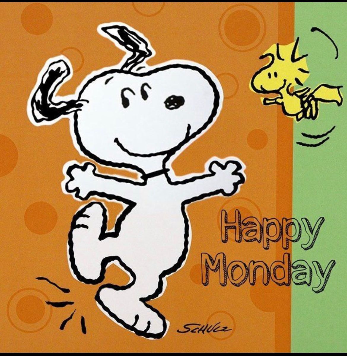 snoopy.jpg