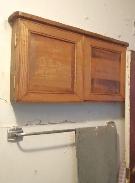 BathroomProjectFinaledooropen.jpg.5dc5c7db9b15cb06a25354f17f8112cd.jpg