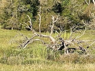 IMG_7732(2).jpg.8eae04d025577744b8beddb7cdd283b2.jpg