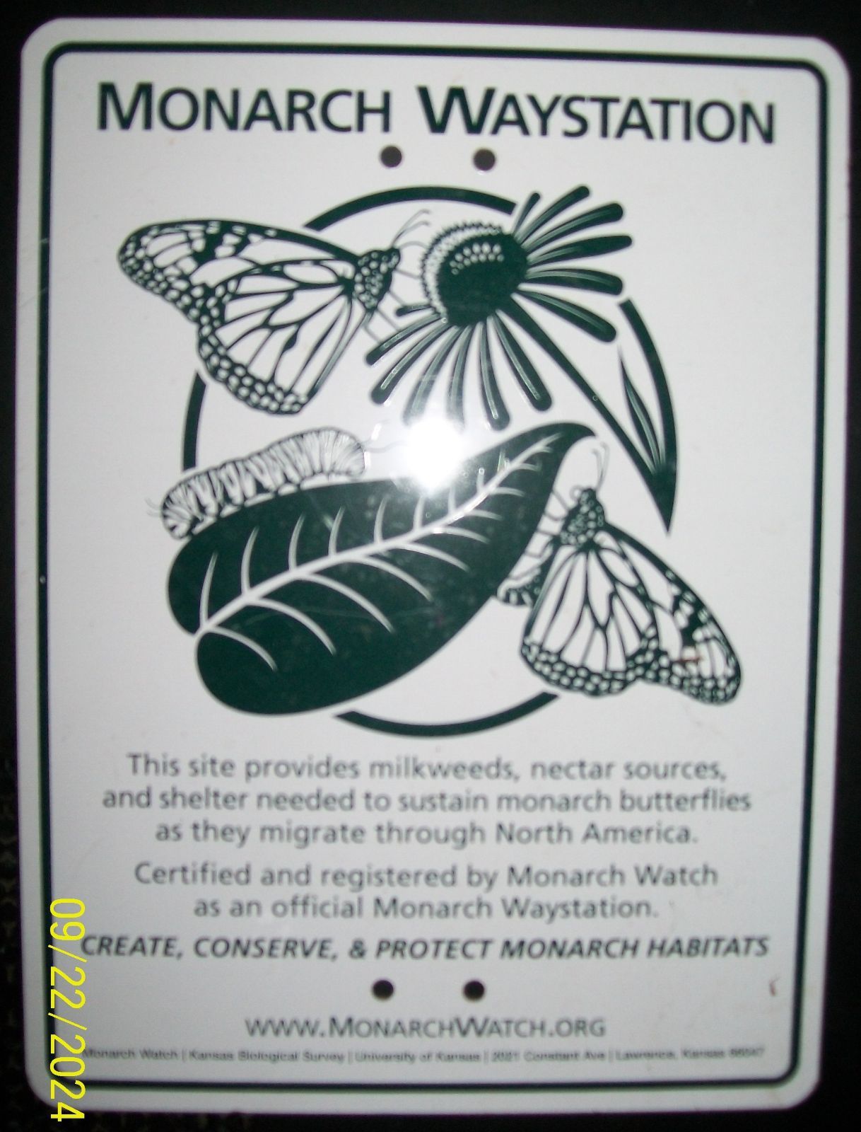 MonarchWaystation.jpg.56b6af79c36387b4c449bef44419c8b4.jpg
