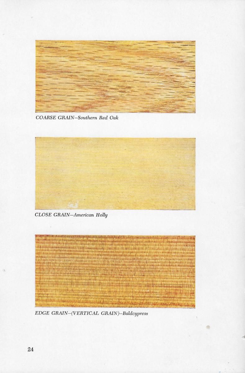 Page 24 - Shelley E. Schoonover (American Woods)