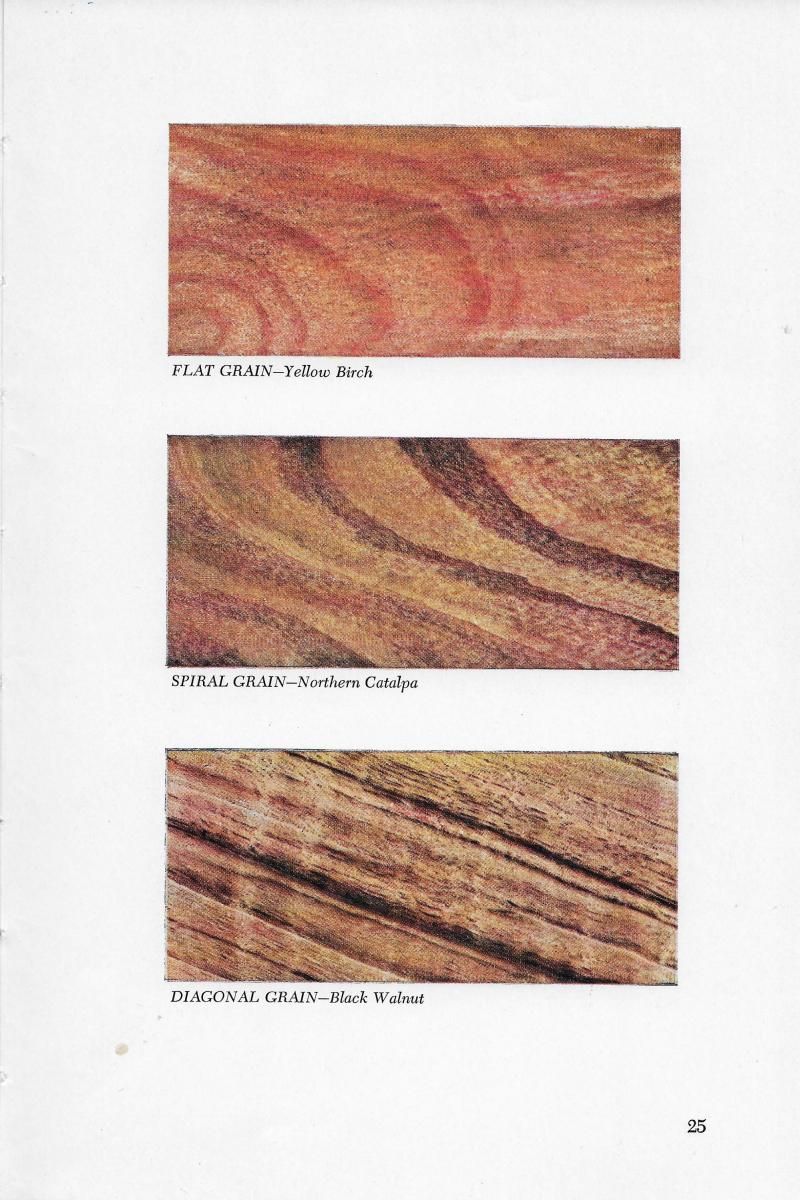 Page 25 - Shelley E. Schoonover (American Woods)