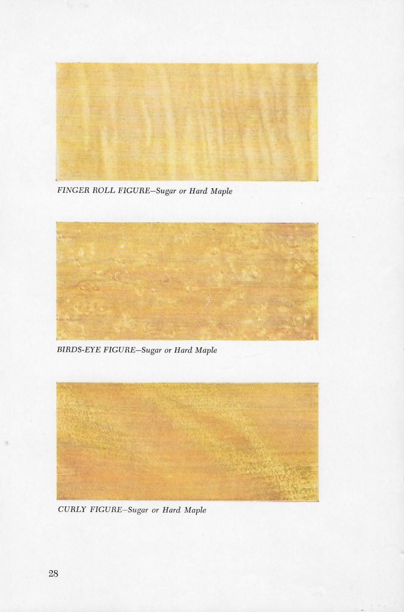 Page 28 - Shelley E. Schoonover (American Woods)