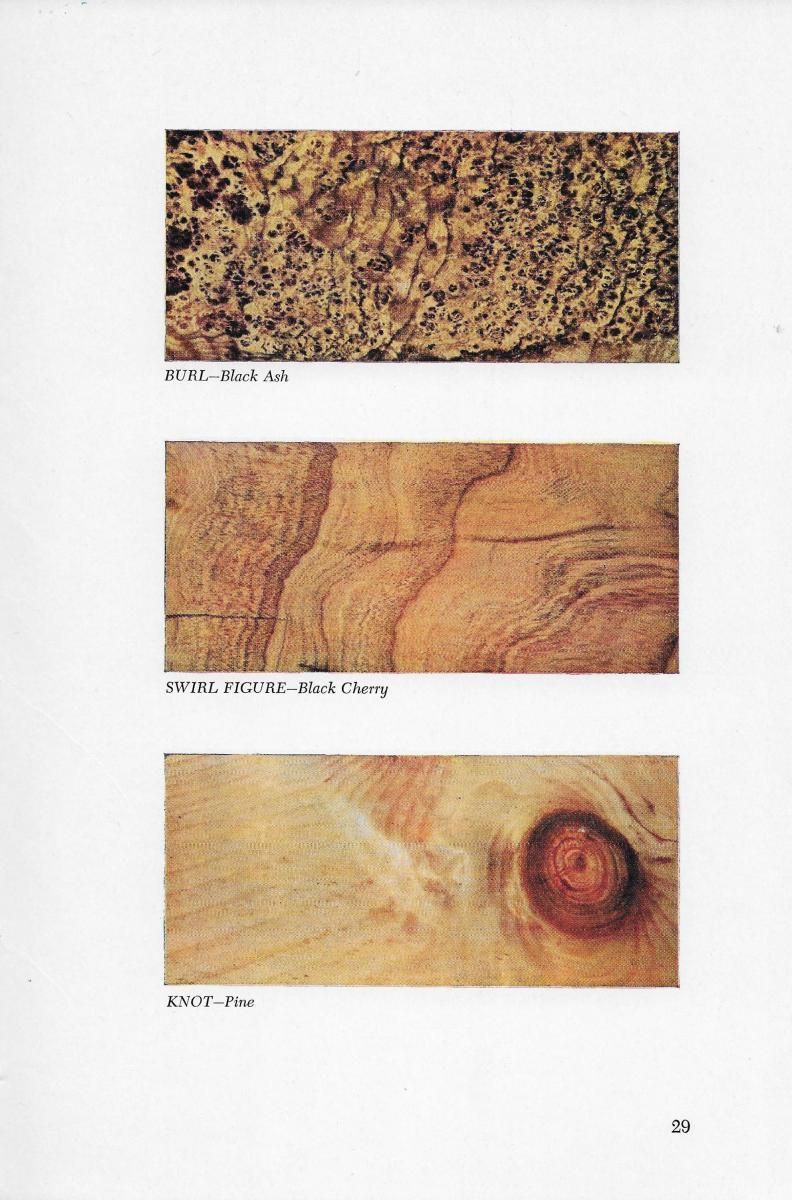 Page 29 - Shelley E. Schoonover (American Woods)