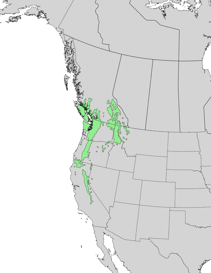 Western White Pine Range Map