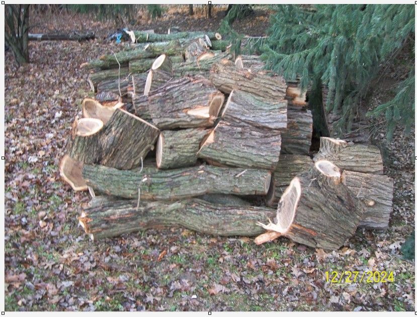 woodpile1endview.jpg.bcac536932d46a34788c8120338c39f8.jpg