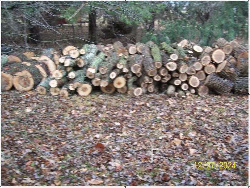 woodpile1sideview.jpg.ccbc5d4fdd9ba6e644323b725a346eef.jpg