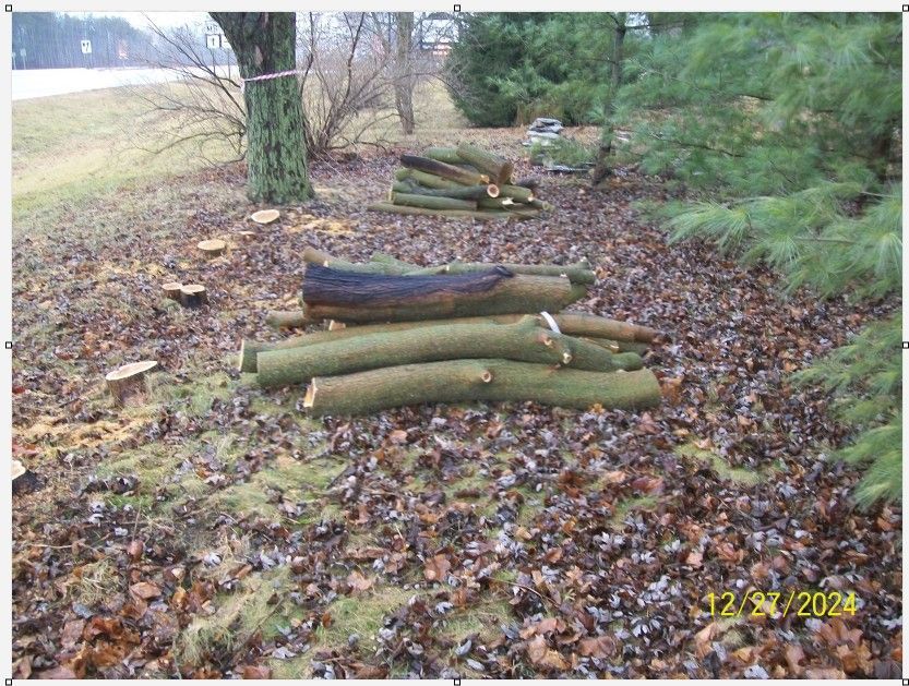 woodpiles23.jpg.c69dc3053a4979d825afd5e8d411b8ad.jpg