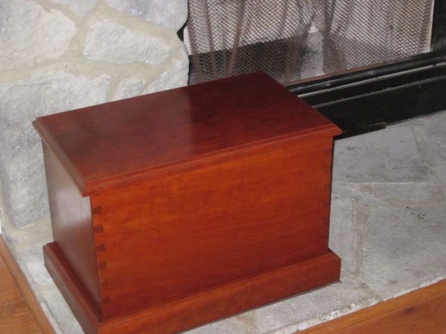 2020_02240004.JPG.1cdbffff274857ee585b0cb44d64c998.JPG