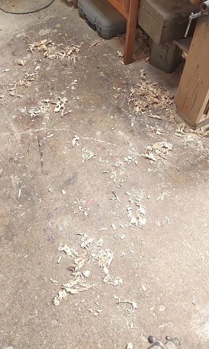 DVDCaseDovetailDaymessyfloor.jpg.e483494e87fdb808a48a9f167bd9f6fb.jpg