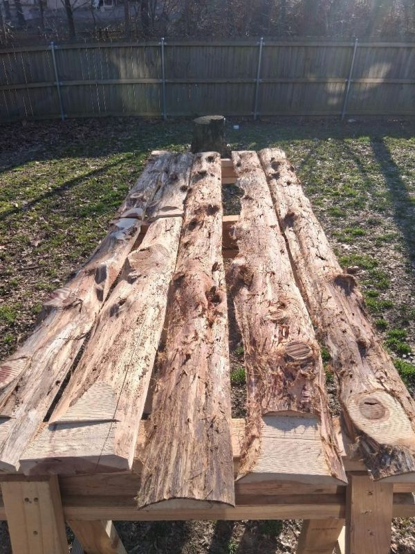 bulk cedar 2.jpg