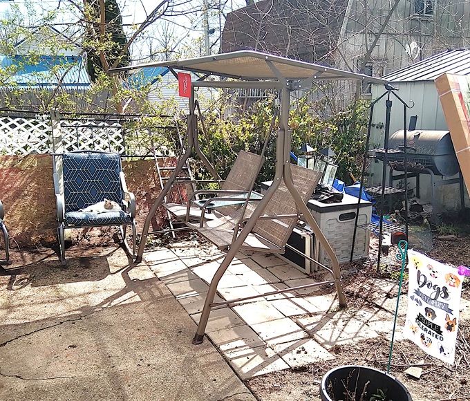 BackPatioNewSwing!.jpg.becb1f1bbc9a6a9dfcf5b5ff84aae63a.jpg