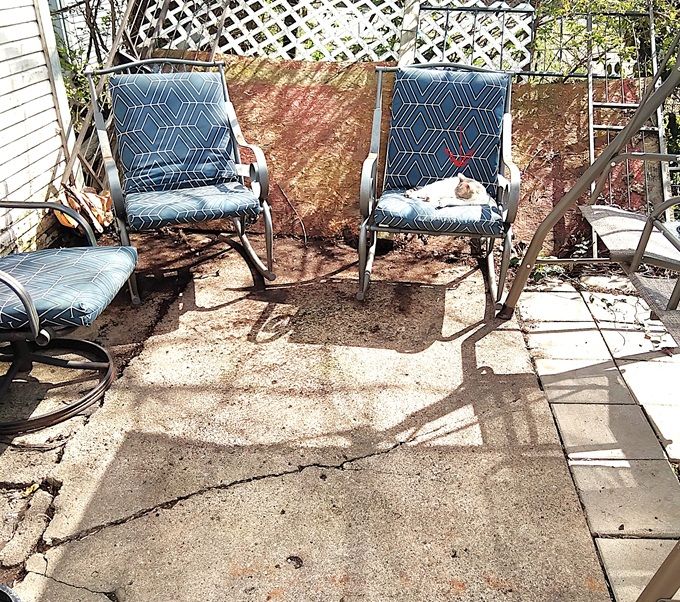 BackPatioSupervizoronduty.jpg.5e88a35d7031e35becbb36b92464fd79.jpg