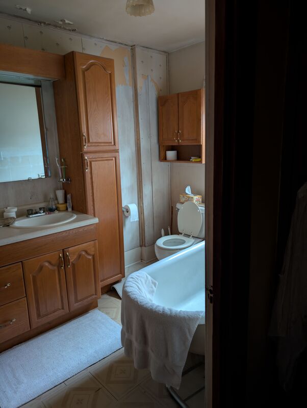 OldBath.thumb.jpg.80b2baadb9b14bc53096af2094df1fa3.jpg