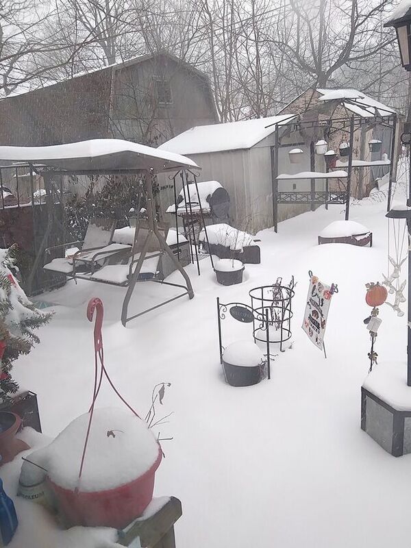 1,25,2026, Shed view  .jpg