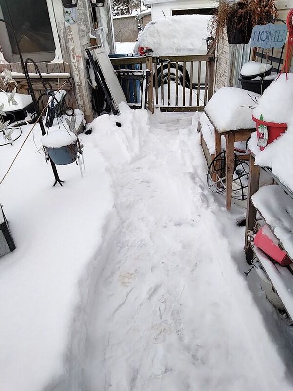 1,25,2026, trash can path  .jpg