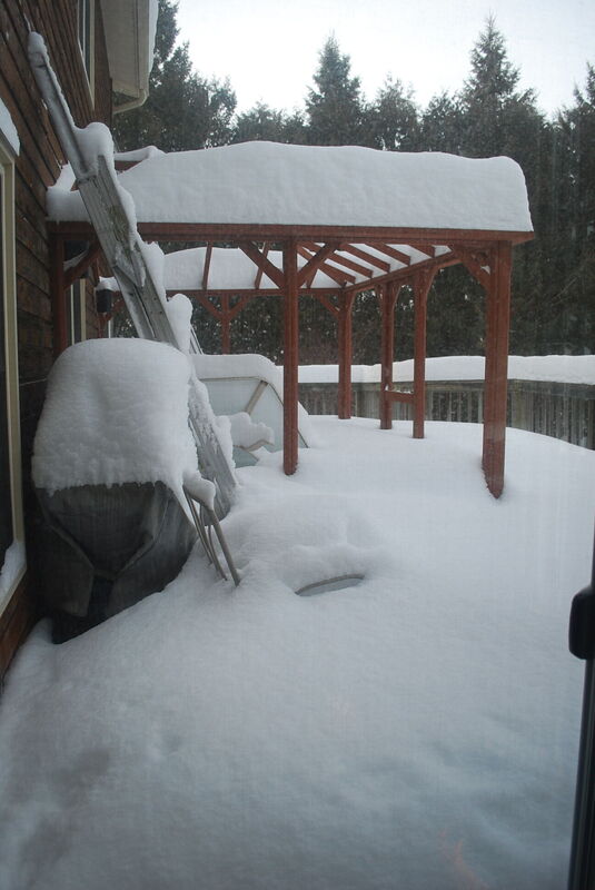 DSC_0001 - Copy (5).JPG