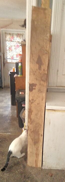 JAN26Proj.bigplank.jpg.978432fcf1efe05e1e9fcb5ab2f1cf57.jpg