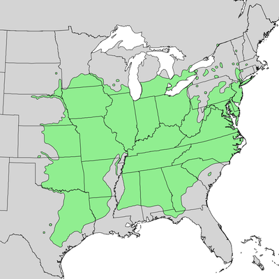 black walnut growth range map