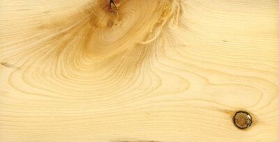 pinyon pine lumber
