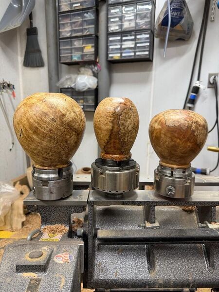 Big Leaf Maple Hollowforms.jpeg