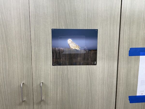 IMG_2126.jpeg