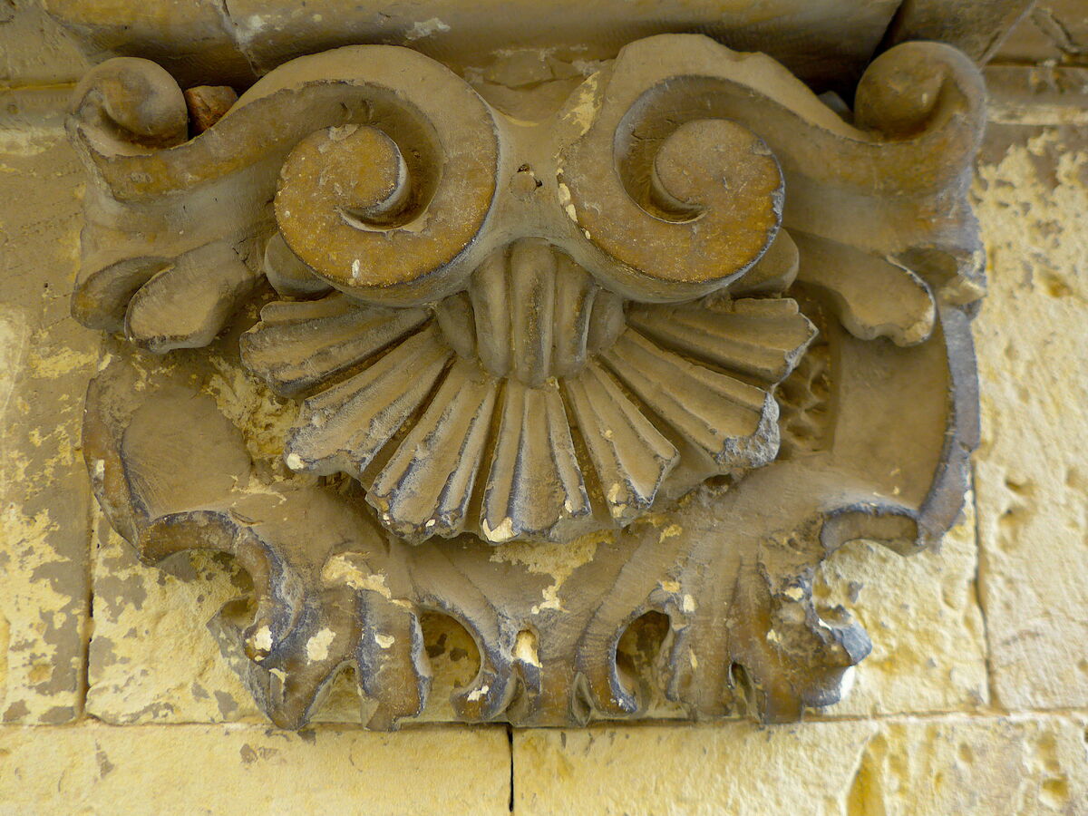 My next shell carving. Noto Italy.