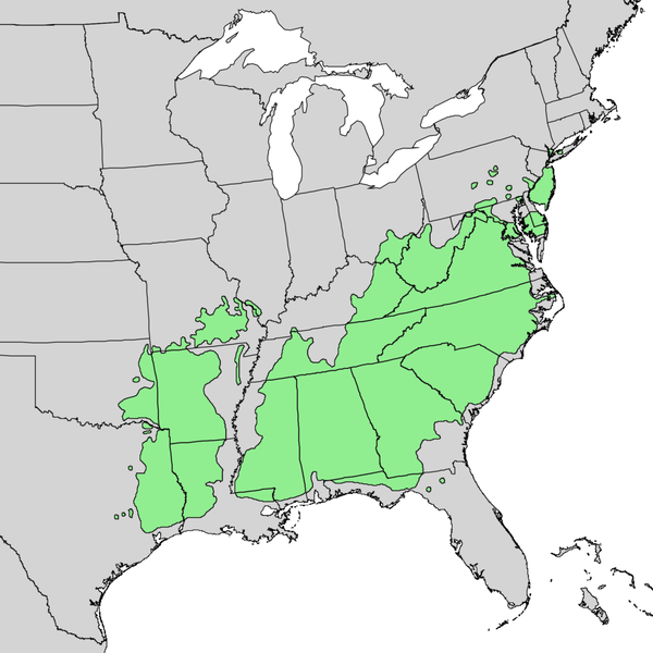 Shortleaf Pine Range Map.png