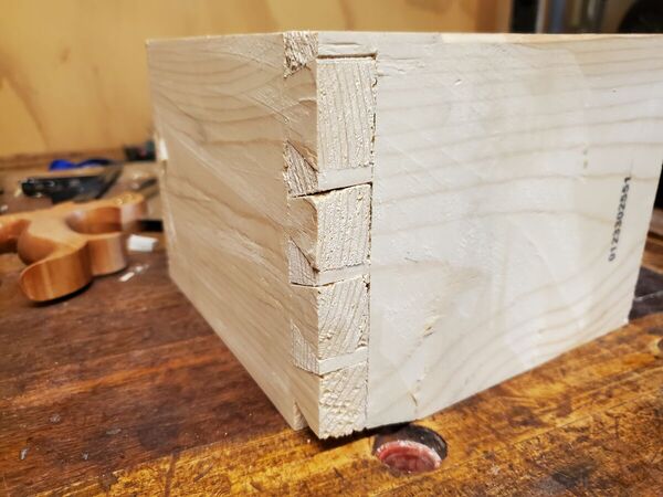 dovetail training (1).jpg