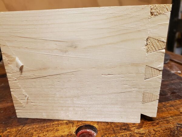 dovetail training (2).jpg