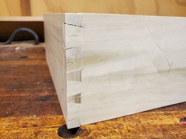 dovetail training (3).jpg