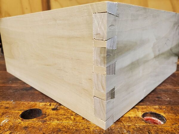 dovetail training (5).jpg