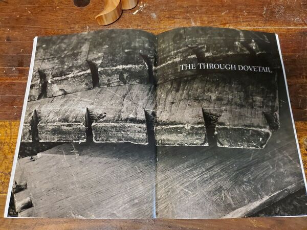 dovetail training (7).jpg