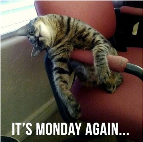 Good Monday Morning Patriot Woodworkers! June 15, 20256