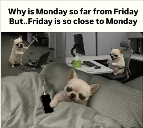 Good Monday Morning Patriot Woodworkers! June 1, 2026
