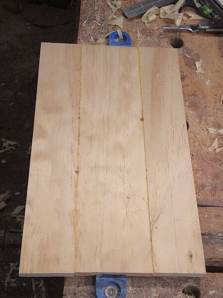 Thin Board Proj., panel, the Before  .jpg